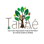 logo TaFaé